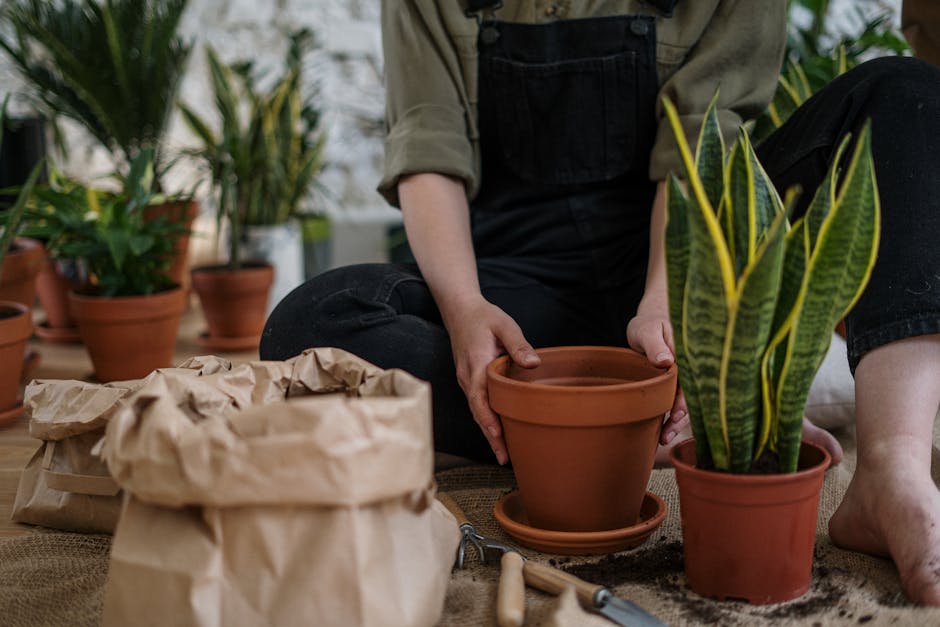 "How to Create and Grow Your Own Indoor Herb Garden in Small Living Spaces"